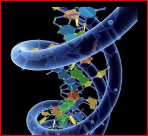 DNA (1)