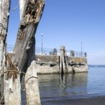Il molo mostra l'abbassamento del livello dell'acqua a Bracciano, 23 luglio 2017. ANSA/MASSIMO PERCOSSI