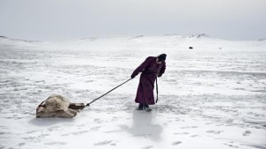 Cambiamenti climatici migranti