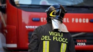 vigili