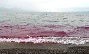 Lago rosso bracciano-2